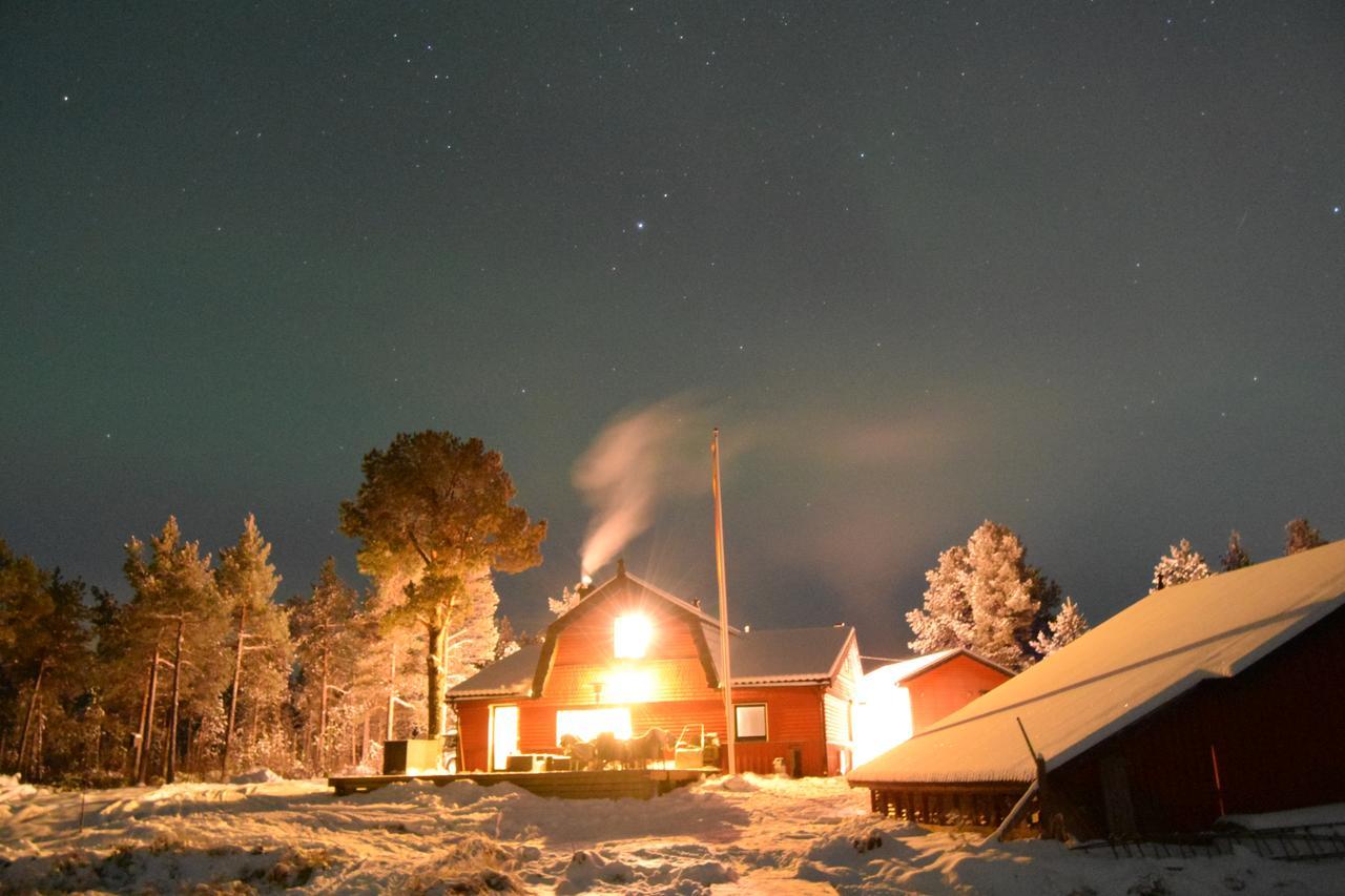 Camp Caroli Wooden Cabins Юккас'ярві Екстер'єр фото